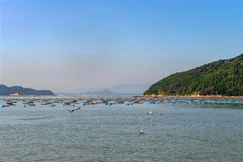 汕頭東海岸|汕頭東海岸現實版魚骨沙洲！